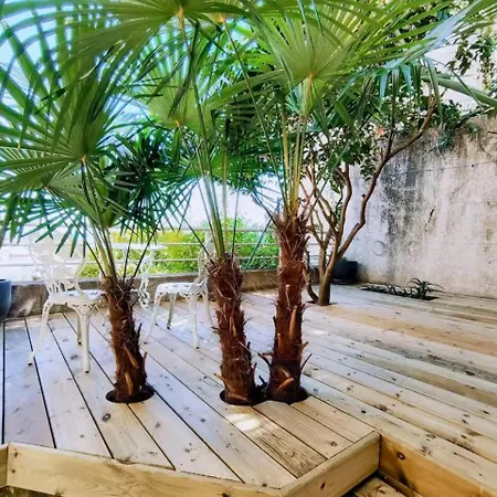 Before Making A Request Read My Profil Host At Bottom Of Page # Large Terrace With Sea View Parking, Air Conditioning Appartement Beaulieu-sur-Mer